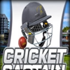 ����ӳ�2021(Cricket Captain 2021)�����ⰲװ��