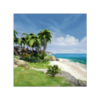 OceanIsHome2(����֮�ҵ�������ģ����)v0.600 ��׿��