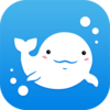 ��С���̻���appv1.1.0 ���°�