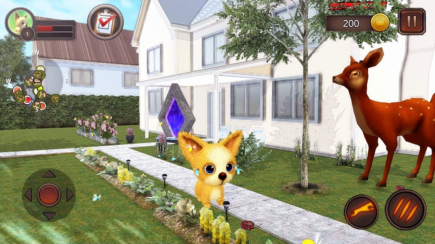 Chihuahua Dog Simulator(������ģ�����ֻ���)v1.0.1 ��׿��