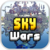 Sky Wars(�յ�ս������ģ��)v2.6.2 ��׿��