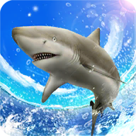 SharkFishing(野生鲨鱼垂钓)v1.0.7 最新版