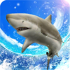 SharkFishing(Ұ�����㴹��)v1.0.7 ���°�