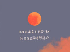 ������Ļ���ܹ��е����˵����� �˸��ֺ����������