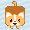 ������һ�ʻ�v1.0.1 ��׿��