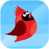 Red Bird!(�����������)v2.64 ��׿��