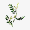 ��ҩֲ��ٿ�appv2.0.1 �ֻ���