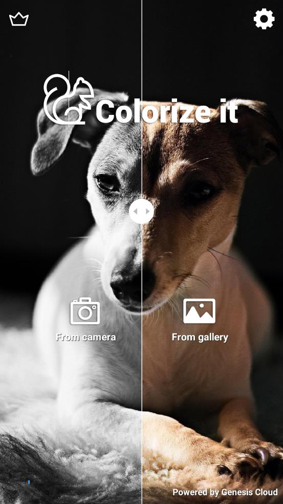 Colorize It appv1.1.10 ��׿��
