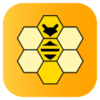 ����콨appv2.0.6 ���°�