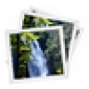 Duplicate Picture Finder(ظͼƬ)v1.0.55.85 ɫİ