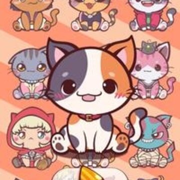 猫咪时尚明星 猫咪时尚明星