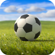 Nurex Soccer(足球英雄杯)v1.2 安卓版