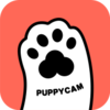 puppycam����ιʳ��v1.10.2 �ֻ���