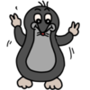С�����ð���ռ�v0.5 ��׿��