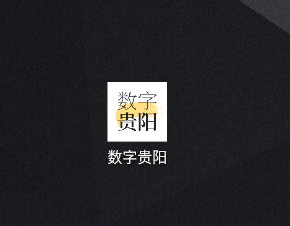 数字贵阳app 数字贵阳app