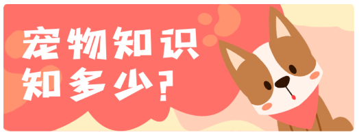 优宠快报app 优宠快报app