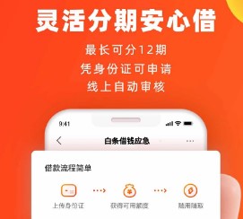 白条借钱应急 白条借钱应急