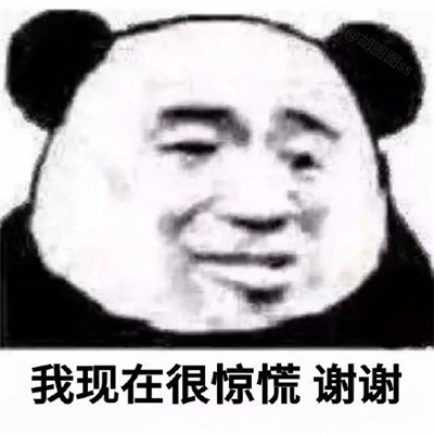 实用的熊猫头表情包最新版搞笑大全