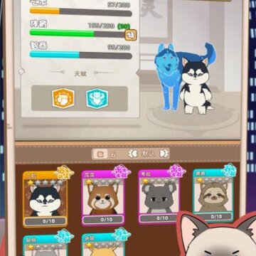 猫总大厦 猫总大厦