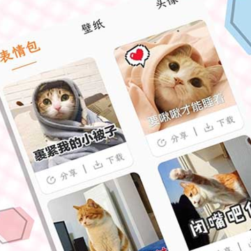 猫语翻译宝 猫语翻译宝