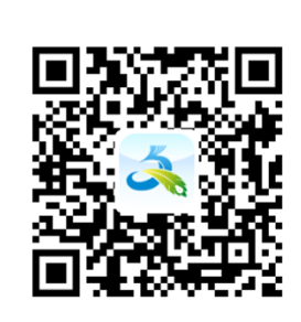 ��������app