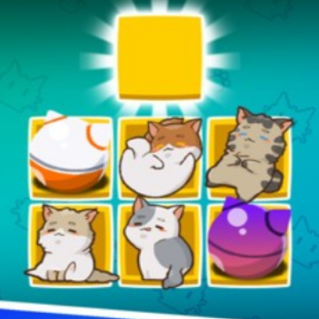 猫主子的日常 猫主子的日常