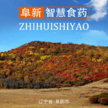 阜新智慧食药app 阜新智慧食药app