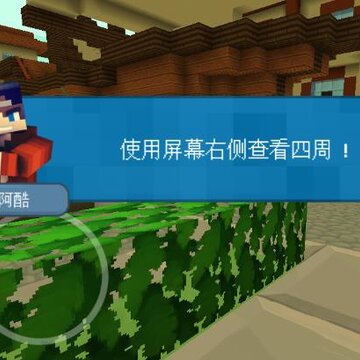 �ҵ�ʯ������