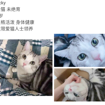 真命天喵app 真命天喵app