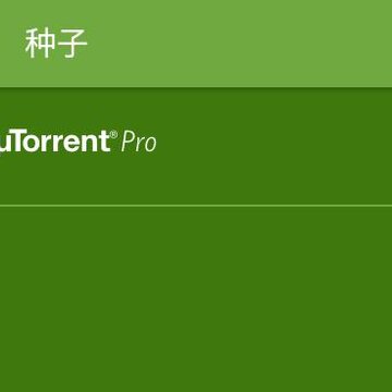 ��TorrentPro(��������������)