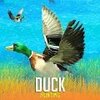 Wild Duck Hunting(ҰѼ���Լ��ֻ���)v1.1 ��׿��