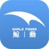 鲸动实验室Appv3.0.0 安卓版
