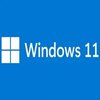 ��׿Windows11ϵͳARMˢ����v22000.65 �ٷ���