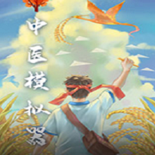 中医模拟器电脑版免下载,单机游戏软件