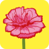 ����ܰappv7.5.0 ���°�