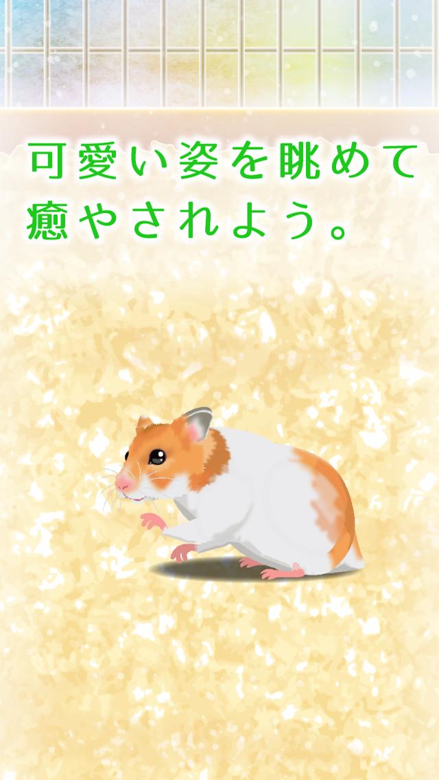 Hamster(Ĳ)v2.3 ׿