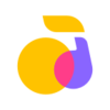 ��ɭappv2.8.5.280012 ��׿��