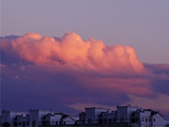 �о��Լ������˵��İ� ���������������¼