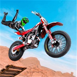 Stunt Horizon(�ؼ���ƽ��)v1.1 ��׿��