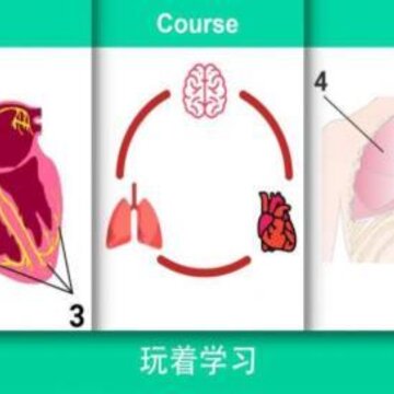 真实医疗模拟器 真实医疗模拟器