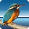 Highlightv3.59 ���İ�