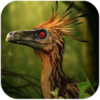 Troodon Simulator(���޶�ģ����)v1.0.6 ��׿��