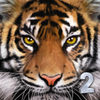 UltTiger2(�ռ��ϻ�ģ����2)v1 ��׿��