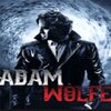 �ǵ��ֶ���Adam Wolfe�ⰲװ��ɫ��