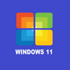 Win11ģ�������İ�v0.1 ��׿��