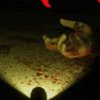 �ںڰ��е���Whispers in the Dark�����ⰲװ��