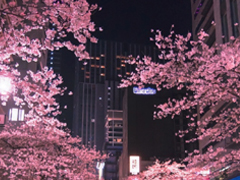 �������ǩ��Ψ�����Ӵ����� ���°������ǩ����ȫ