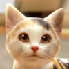 withMyCAT(���ҵ�è��)v1.0.0 ��׿��