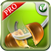 VeggieKungfu(�������߲�����)v1.0.0.1 ��׿��