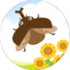 BeetleSummerVacation(�Һͼ׳�����)v1.7 ���°�